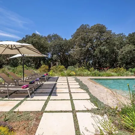 - 39376 Mallorca Holiday home *