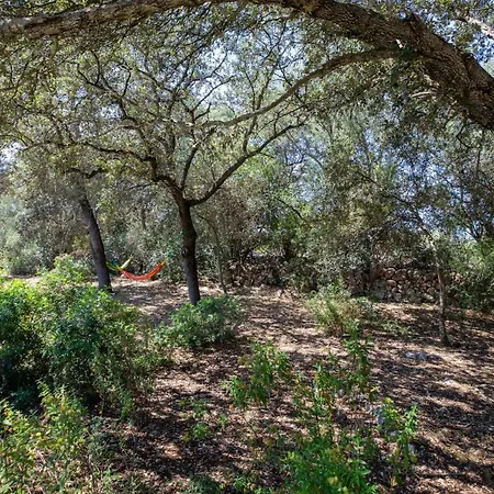 - 39376 Mallorca Holiday home Costitx (Mallorca)