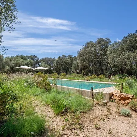 - 39376 Mallorca Costitx (Mallorca)