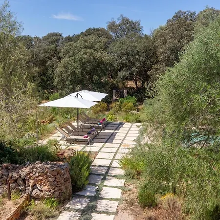 - 39376 Mallorca * Costitx (Mallorca)